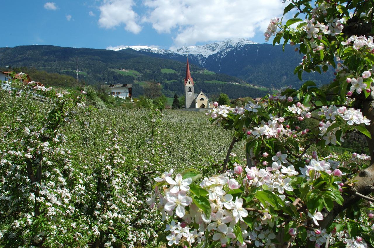 Hofstatt Residence Brixen Exterior foto